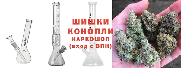 гидропоника Алзамай