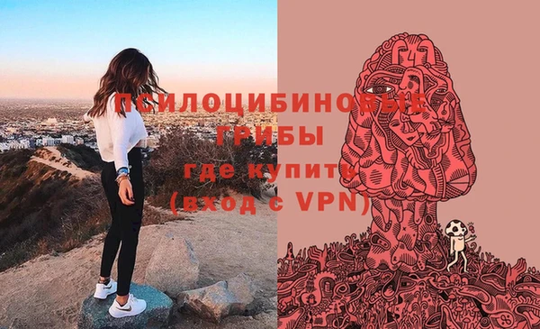 гидропоника Алзамай