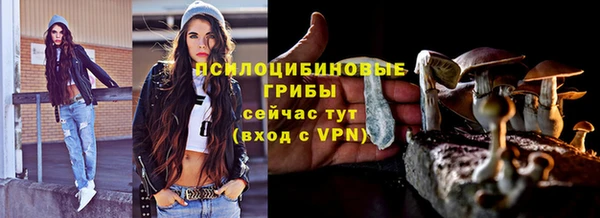 винт Сатка