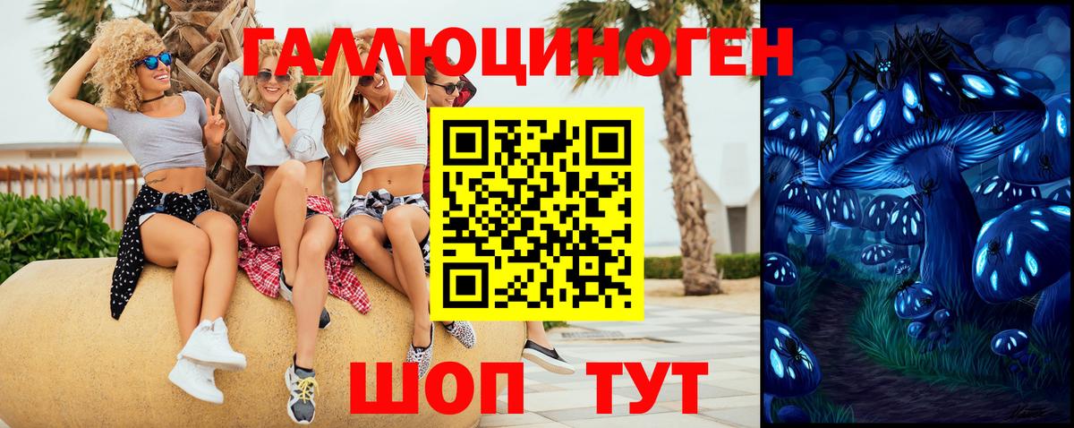 Псилоцибиновые грибы Cubensis Карасук